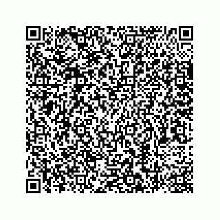 vCard 78787441338