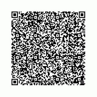 vCard 78787441379