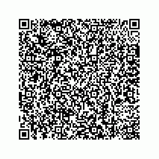vCard 78787441381
