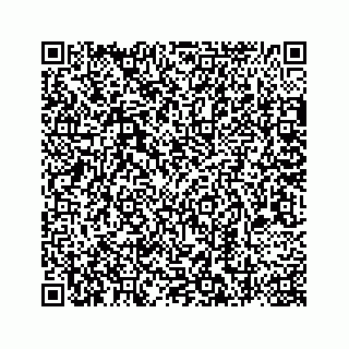 vCard 78787441383