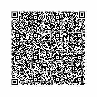 vCard 78787441384