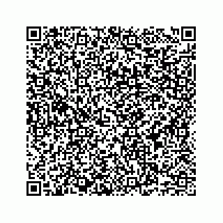 vCard 78787441387