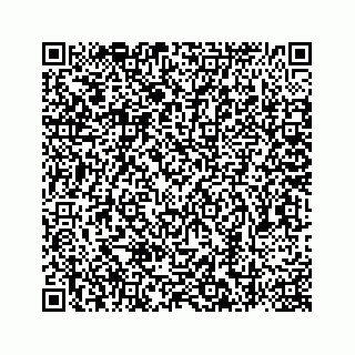 vCard 78787494533