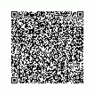 vCard 78787498738