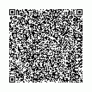 vCard 78787725027