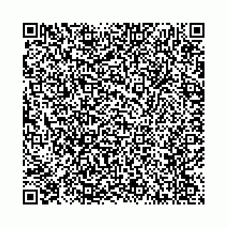 vCard 78787725307