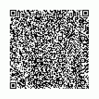 vCard 78787725317