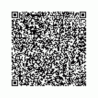 vCard 78787831413