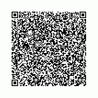 vCard 78787831488