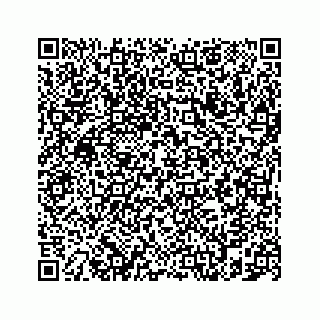 vCard 78787831529