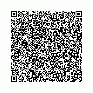 vCard 78787831533
