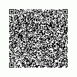vCard 78787831537