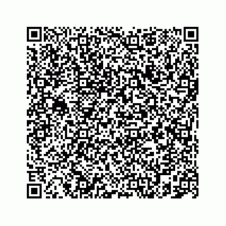 vCard 78787831538