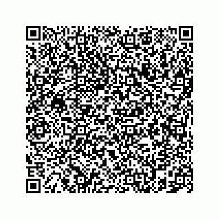vCard 78787831619