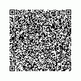 vCard 78787831651