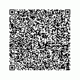 vCard 78787833100