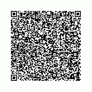 vCard 78787833101