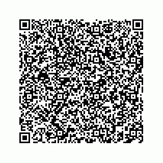 vCard 78787833105