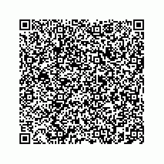 vCard 78787833106