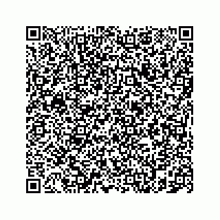 vCard 78787833107