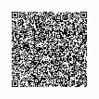 vCard 78787833113