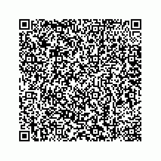 vCard 78787833119