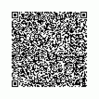 vCard 78787833131