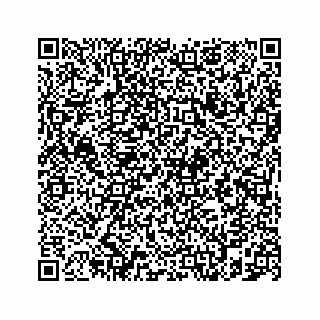 vCard 78787833132