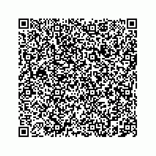 vCard 78787833137