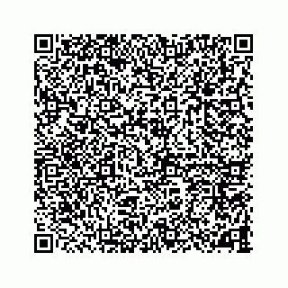 vCard 78787833138