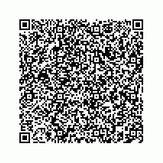 vCard 78787833139
