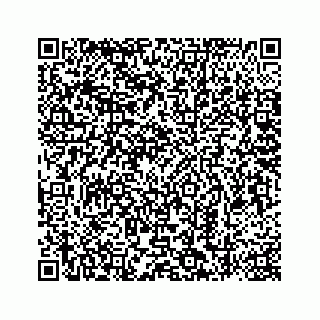 vCard 78787833151