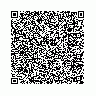 vCard 78787833153