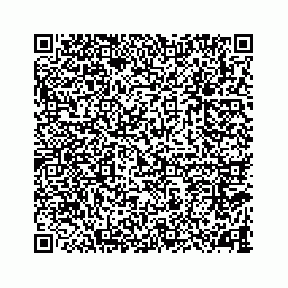 vCard 78787833156