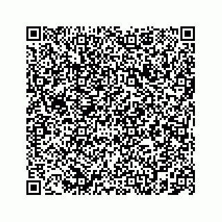 vCard 78787833162