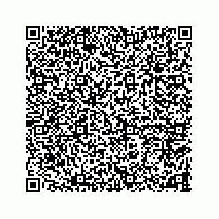 vCard 78787833173