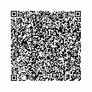 vCard 78787833193