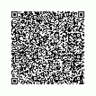 vCard 78787833196
