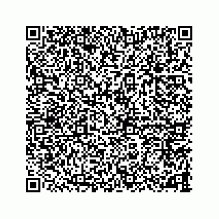 vCard 78787833197