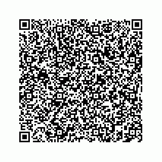 vCard 78787833199