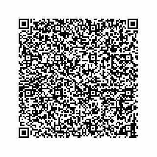 vCard 78787833201