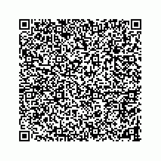 vCard 78787833203