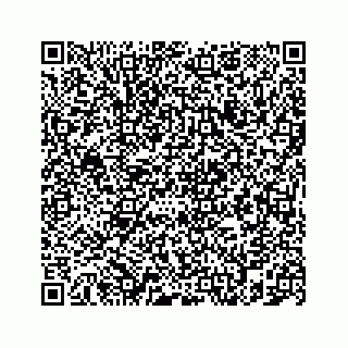 vCard 78787833204