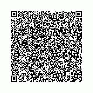 vCard 78787833205