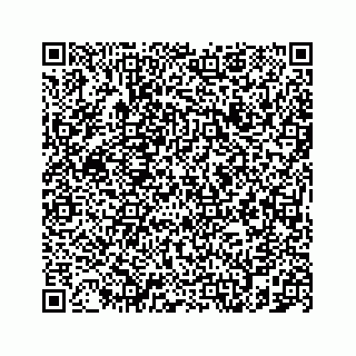 vCard 78787833206