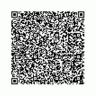 vCard 78787833207