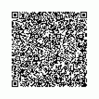 vCard 78787833209