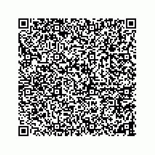 vCard 78787833210
