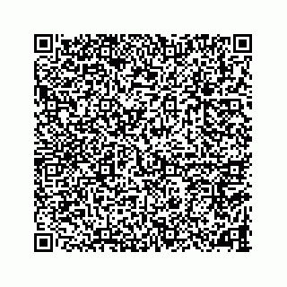 vCard 78787833217