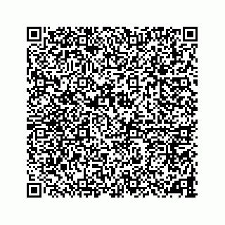 vCard 78787833221